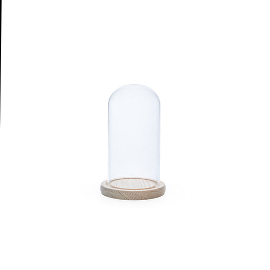Cloche en verre + base bois naturel 10x19 cm