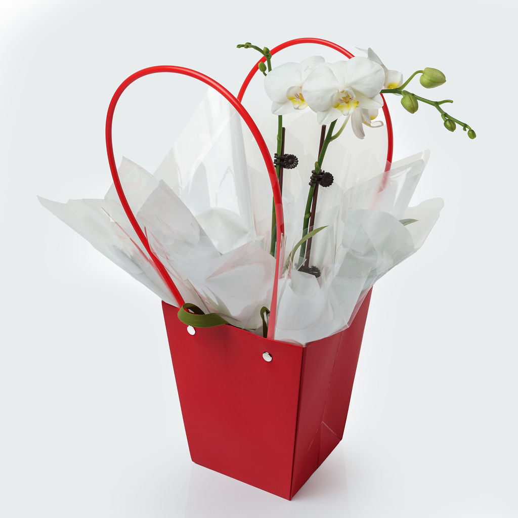 Sacs PVC Beige avec anse, 17cm x 11,5cm x 20cm