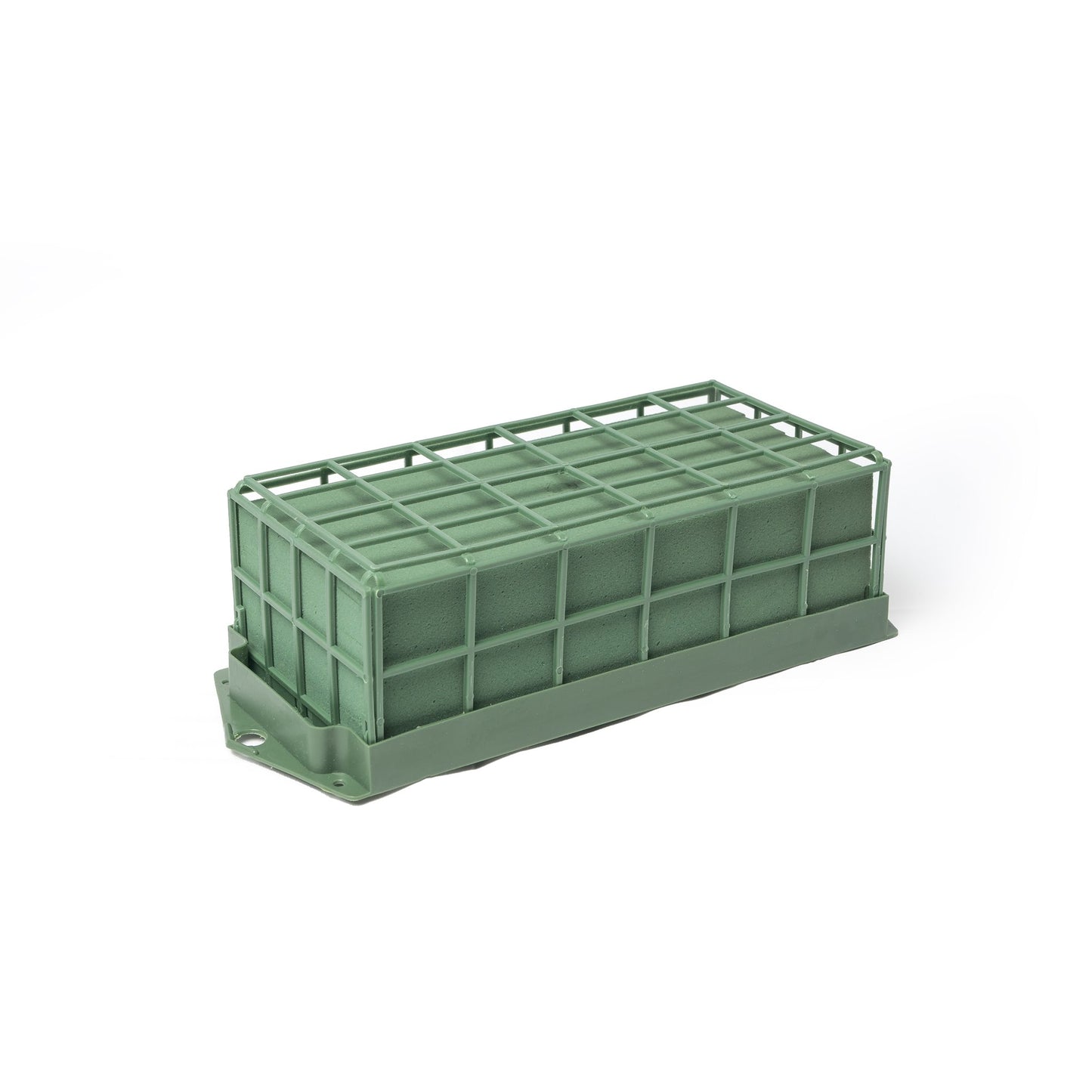 Mousse pour fleurs fraîches cagé