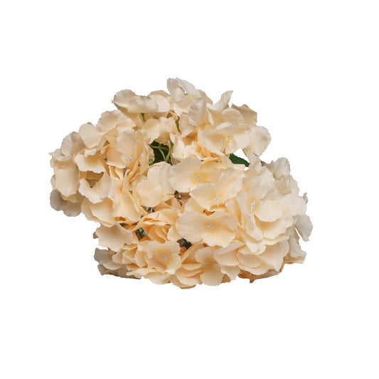 Hortentia ecru artificielle