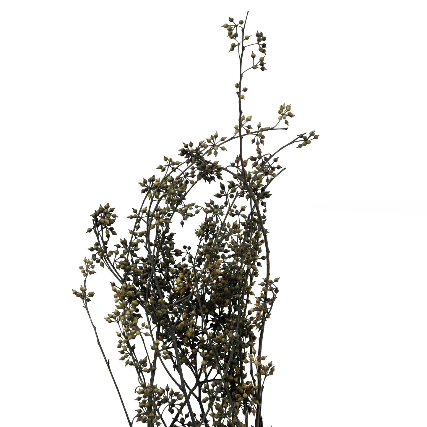 Baies d'eucalyptus séchée couleur vert anis 50cm
