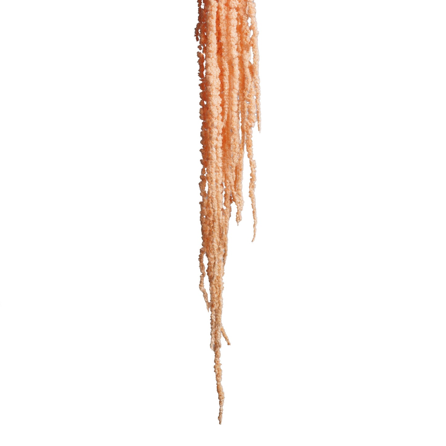 Amarante orange 90-110cm