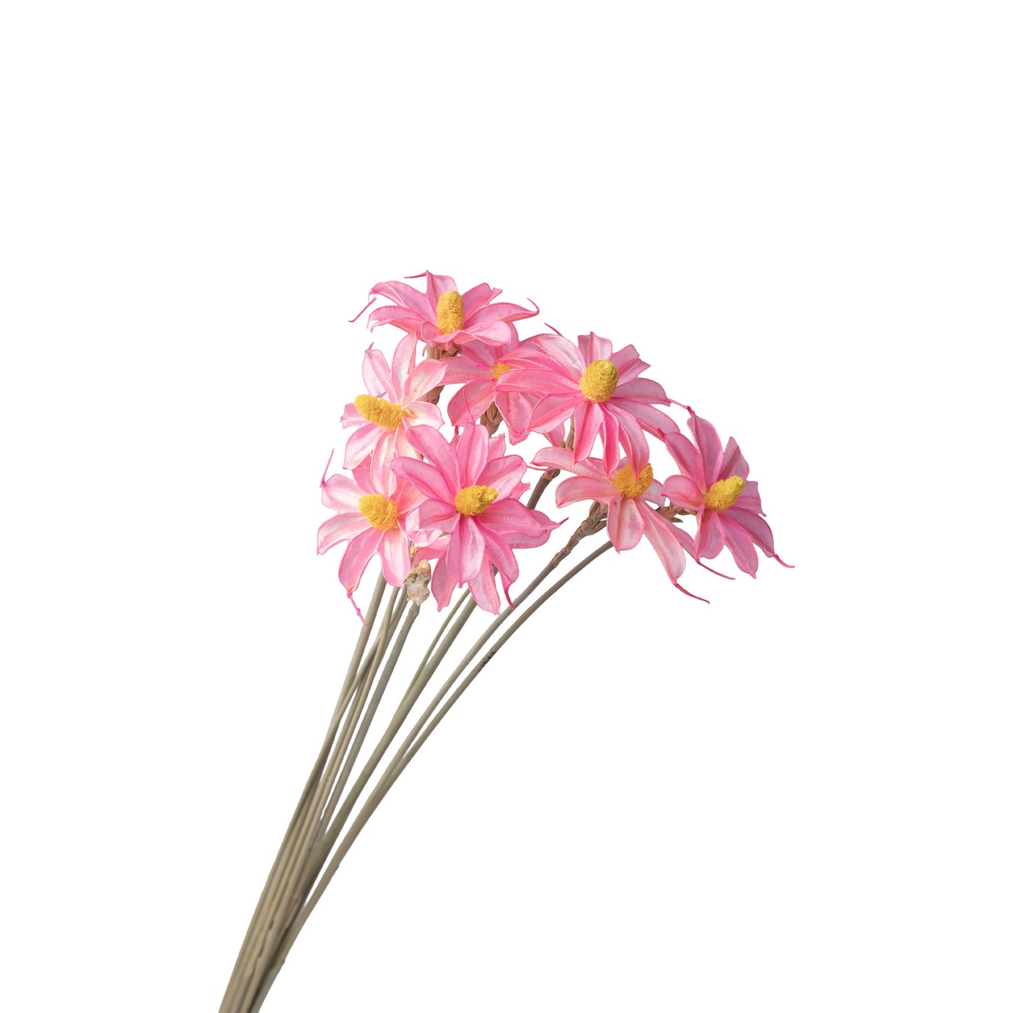 Fleur sechee rose 50-60cm