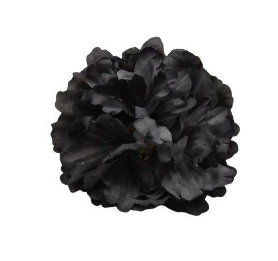 Pivoine stabilisé noir