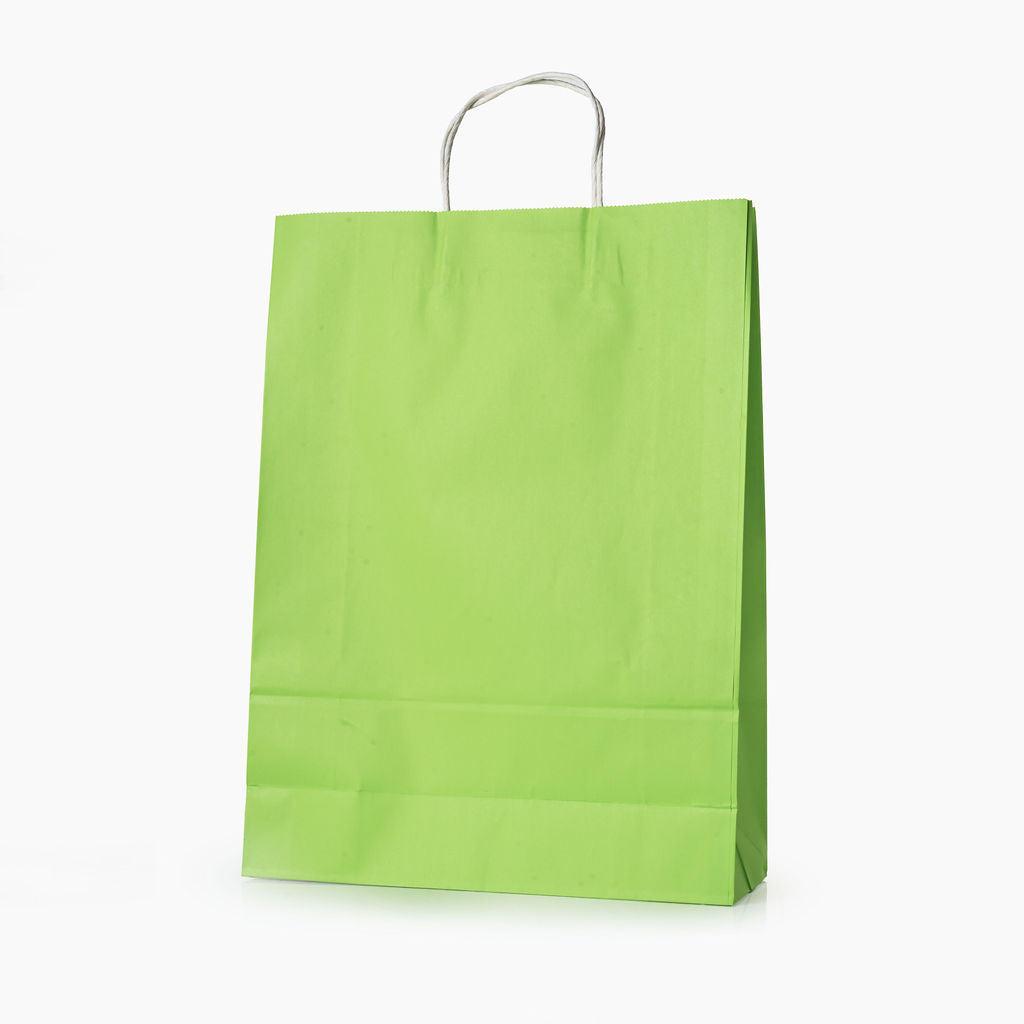 Sacs kraft poignees torsadees Vert L.31x l.11,5x H.42cm
