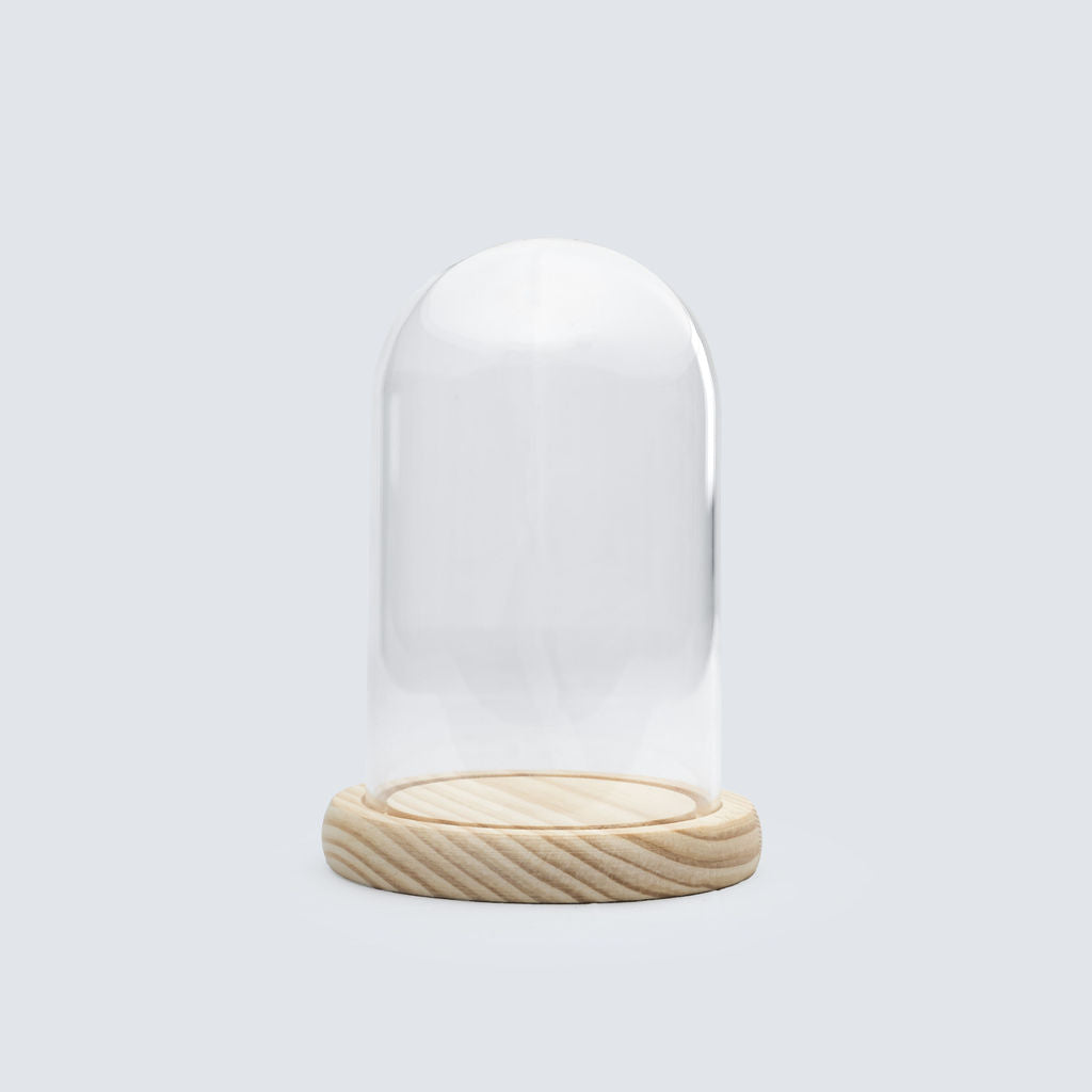 Cloche en verre + base bois naturel 9 x 15 cm