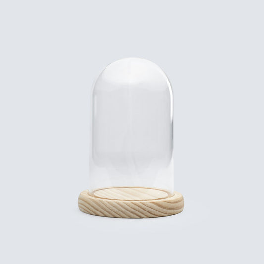 Cloche en verre + base bois naturel 9 x 15 cm