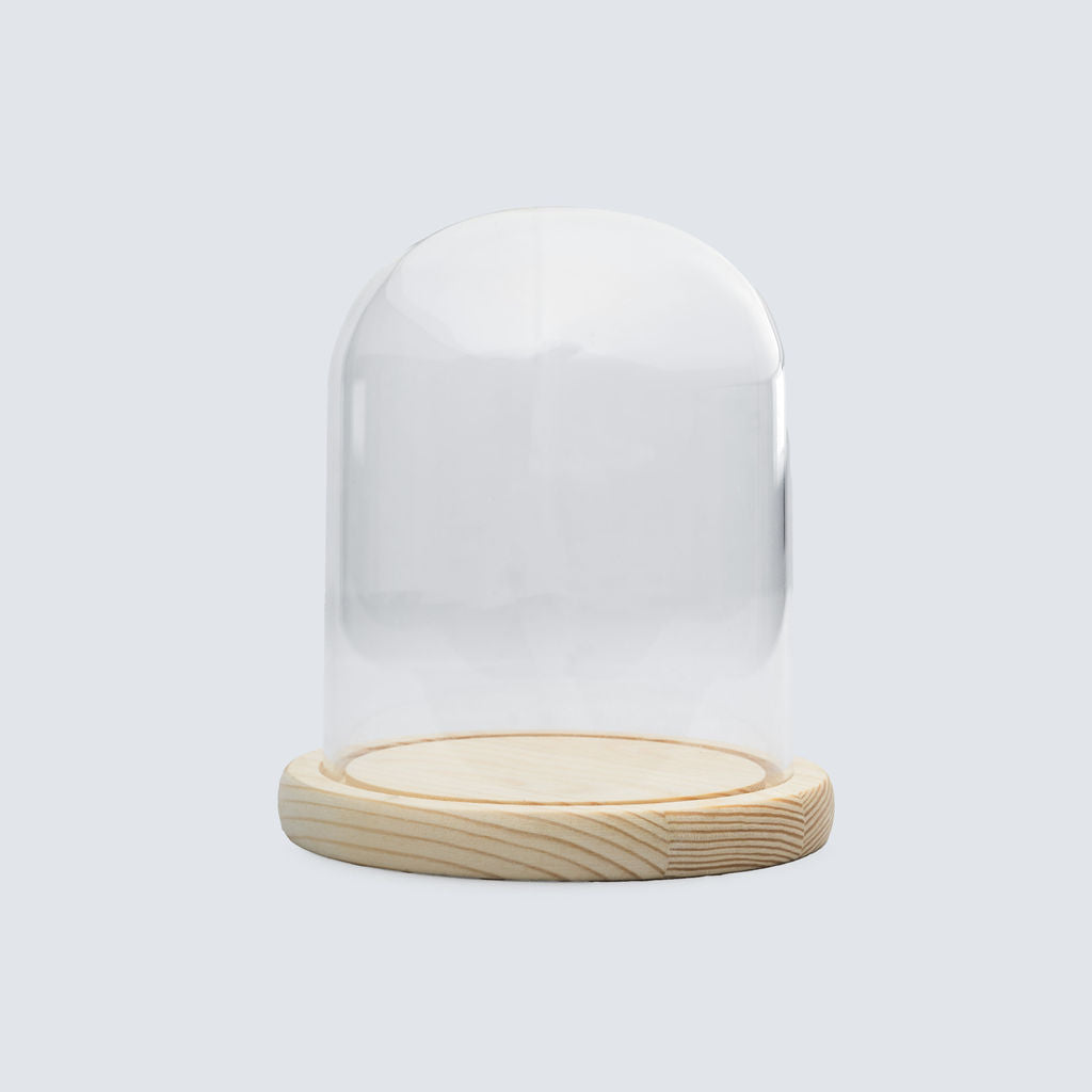 Cloche en verre + base bois naturel 12 x 15 cm