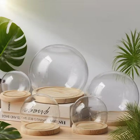 Cloche sphère en verre  base bois naturel dia. 12 cm