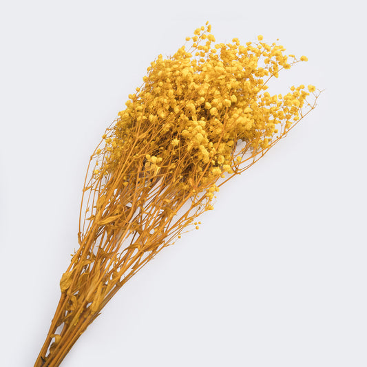 Gypsophile stabilise couleur jaune, 60-70 cm