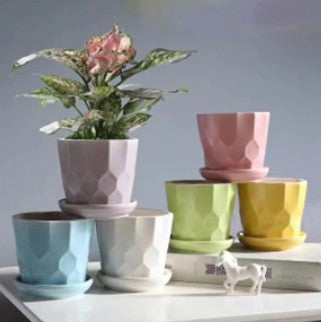 Lots de 12 cache pots 10x10cm