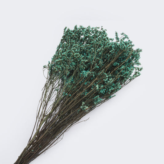 Limonium stabilise couleur bleu - 70cm