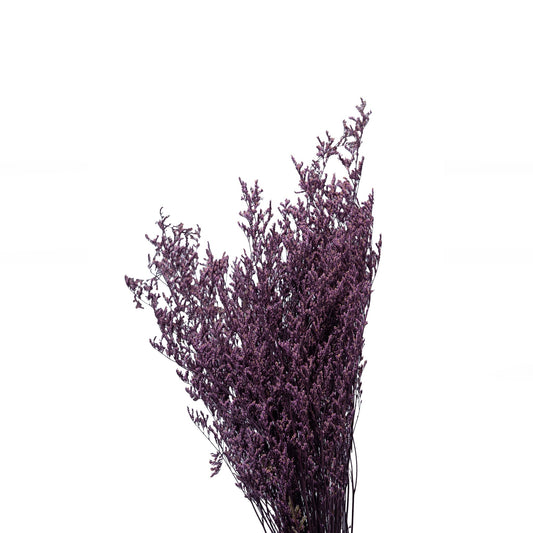 Limonium seche couleur violet 70-80cm