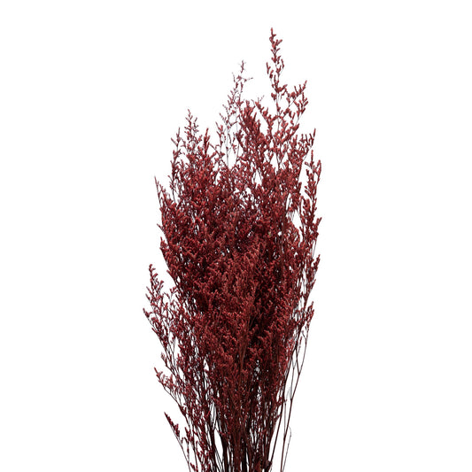 Limonium seche couleur rouge 70-80cm