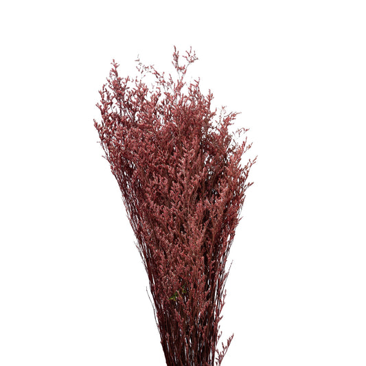 Limonium seche couleur rose 70-80cm