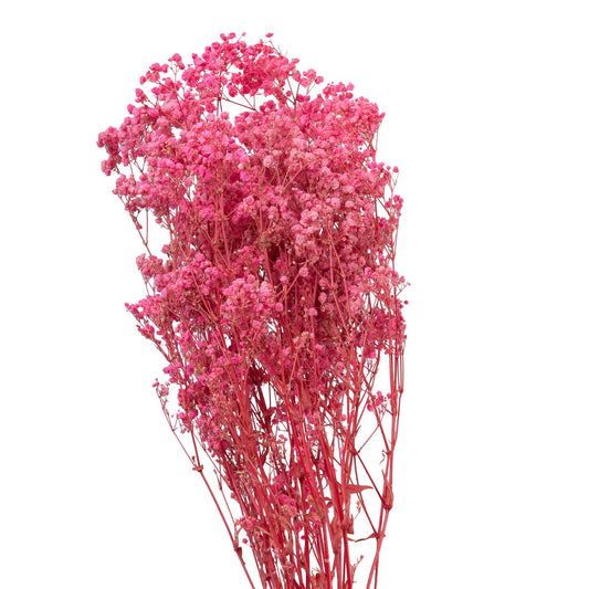 Gypsophile stabilise couleur rose pale, 60-70 cm