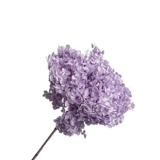 Hortensia sechee couleur parme dia. 22cm x H. 60cm