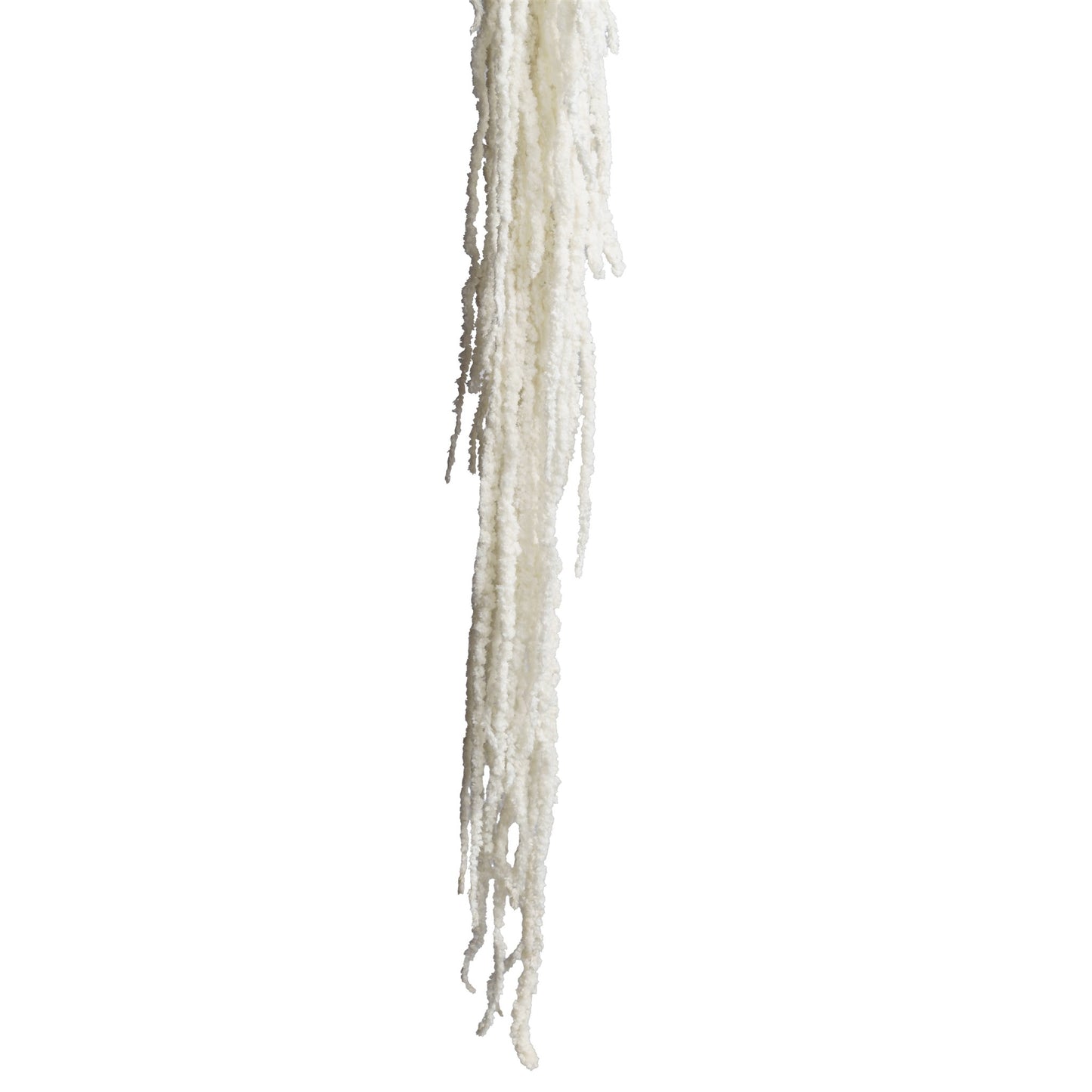 Amarante blanc 90-110cm