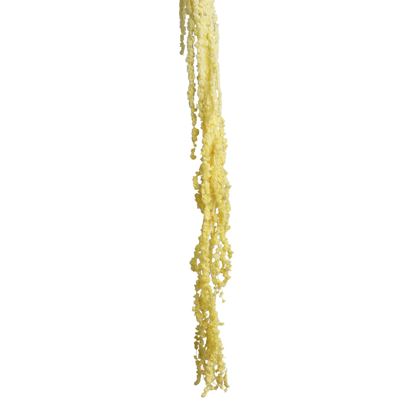 Amarante jaune 90-110cm