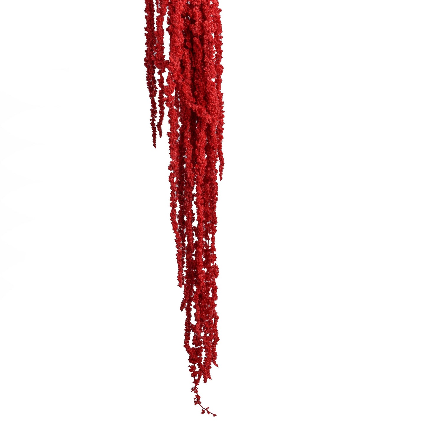 Amarante rouge 90-110cm
