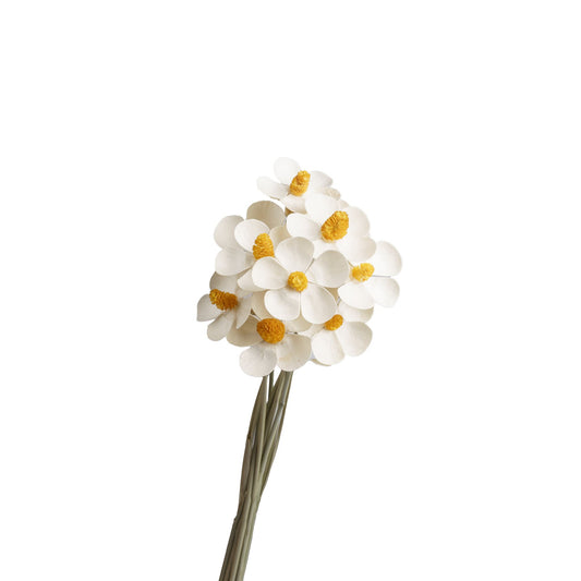 Fleurette sechee blanche 50-60cm