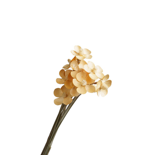 Fleurette sechee orange 50-60cm