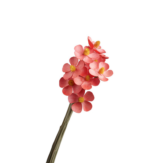 Fleurette sechee rouge 50-60cm