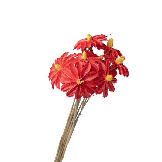 Fleur sechee rouge 50-60cm