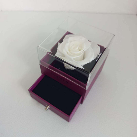 Ecrin à bijou Pourpre 9x9x10cm avec rose éternel blanche dia. 5-6cm
