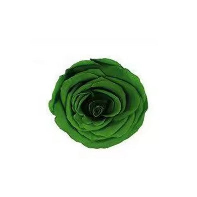 Rose éternel vert foret 5-6cm