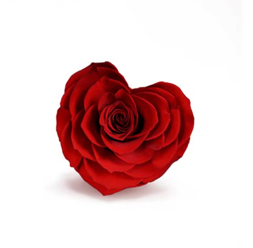 Rose éternel rouge en forme de cœur 10cm