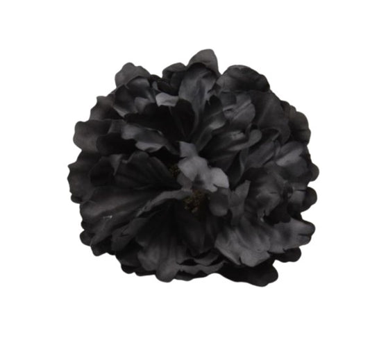 Pivoine stabilisé noir