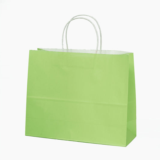 Sacs kraft poignees torsadees Vert L.31,5x25X11,5cm